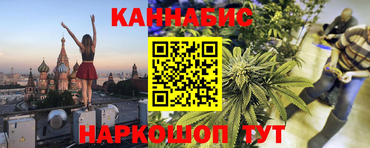 Конопля гибрид Казань